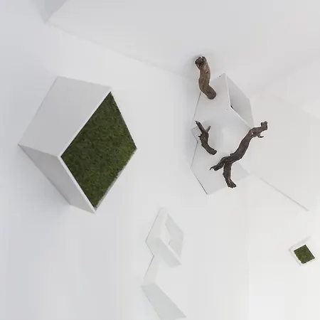 Ristorante San Giors 3* Torino